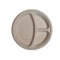 10inches 3-compartment bagasse PLA biodegradable tableware
